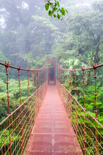 IIT Costa Rica 2025