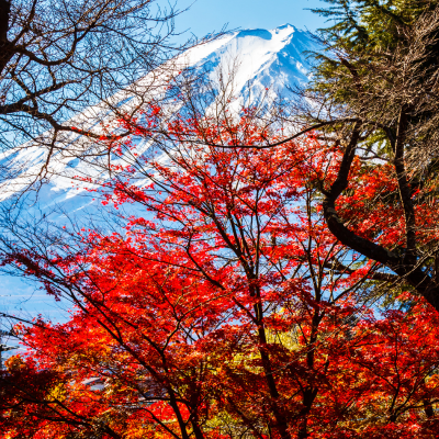 IIT Japan 2027