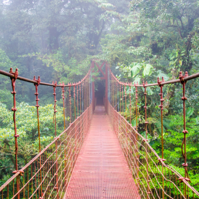 非暴力沟通强化训练营哥斯达黎加 2025