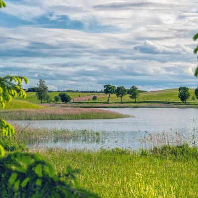 Lac Mazurien