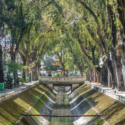 Canaux de la ville de Santas, au Brésil, avec des arches d'arbres verdoyants au-dessus