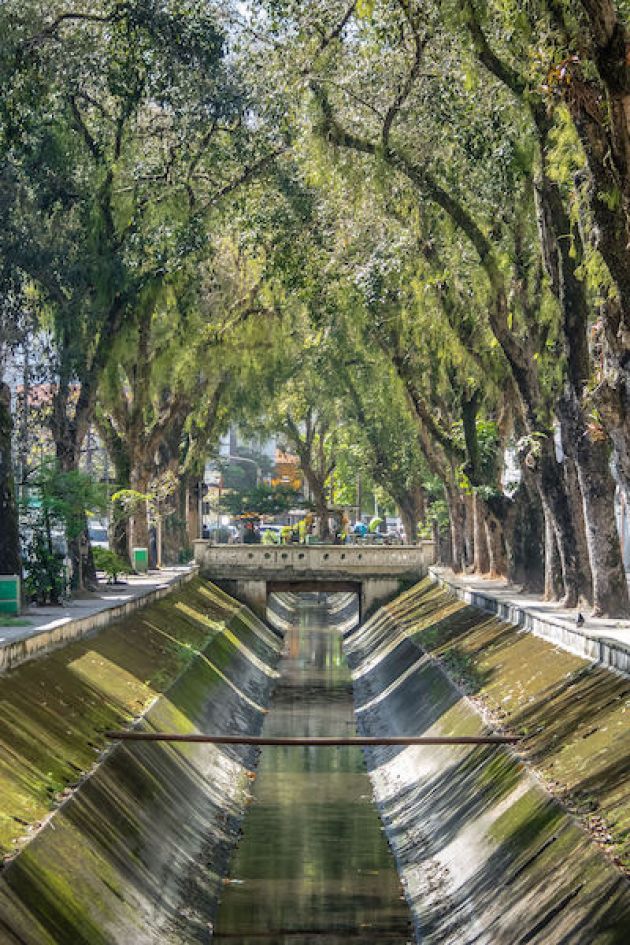 ブラジルのサンタス市の運河と上に緑豊かな木のアーチ